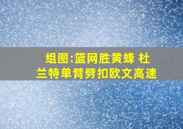 组图:篮网胜黄蜂 杜兰特单臂劈扣欧文高速